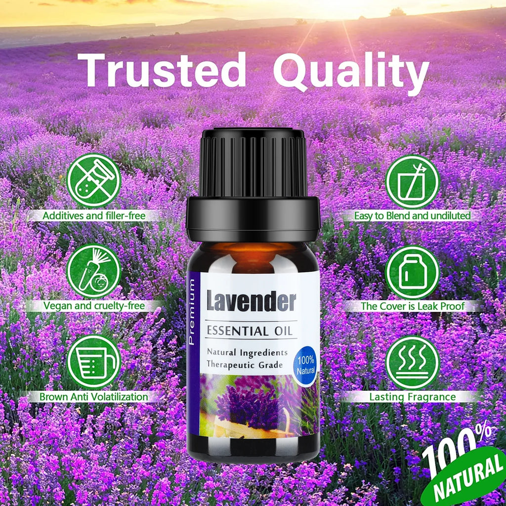 Essential Oils Set for Diffusers - Home Aromatherapy Oils Gift Set, 100% Natural Diffusers Oil Scents for Home, 6X10Ml (Lavender, Eucalyptus, Lemon Grass, Sweet Orange, Peppermint, Tea Tree)