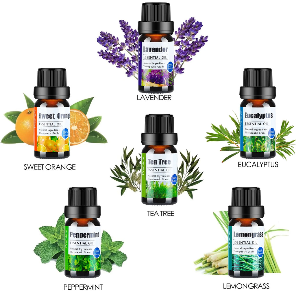 Essential Oils Set for Diffusers - Home Aromatherapy Oils Gift Set, 100% Natural Diffusers Oil Scents for Home, 6X10Ml (Lavender, Eucalyptus, Lemon Grass, Sweet Orange, Peppermint, Tea Tree)